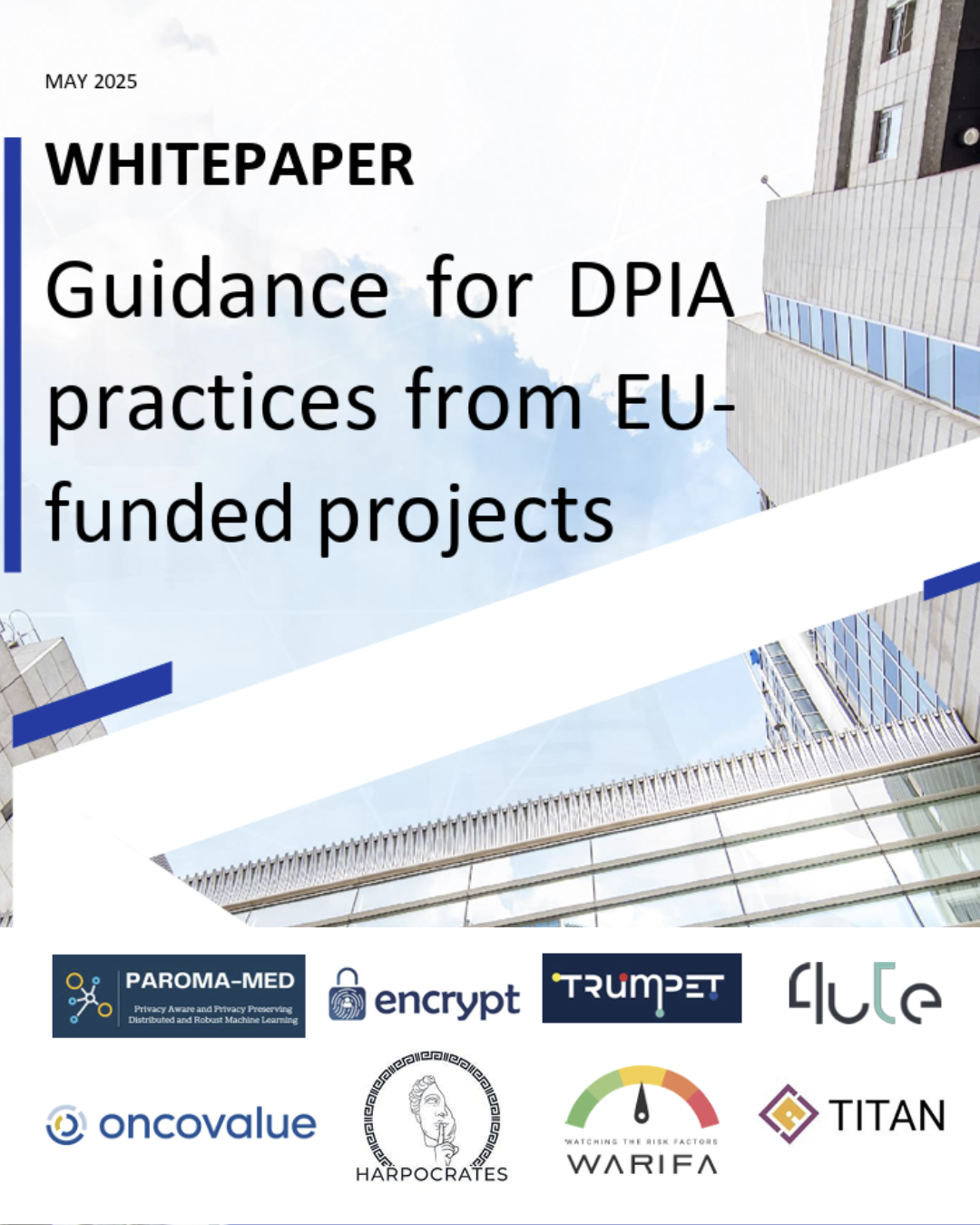 whitepaper_DPIA